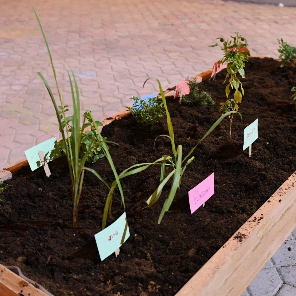 Community Meeting & Introduction Session II + Group Planting Activity I