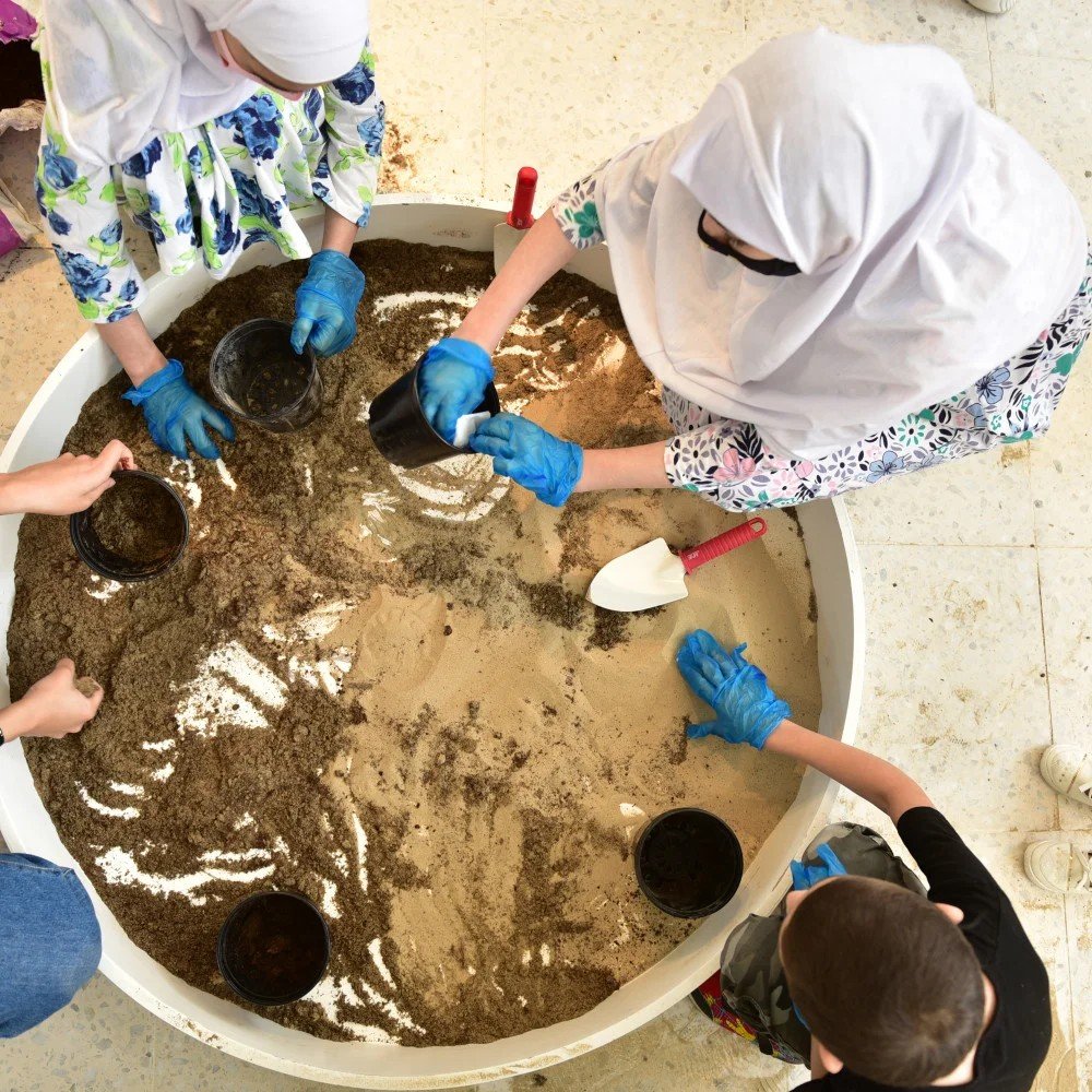 تبادل المعرفة: زراعة الشتلات