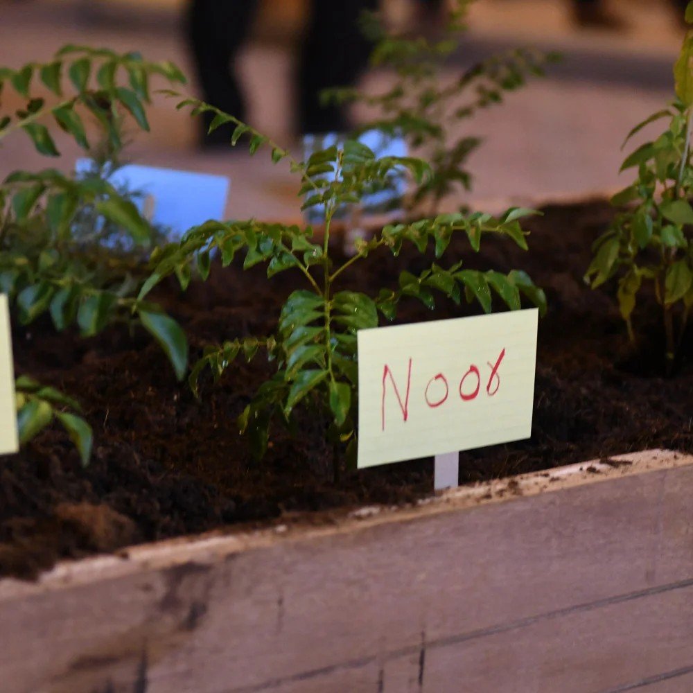Community Meeting & Introduction Session II + Group Planting Activity I