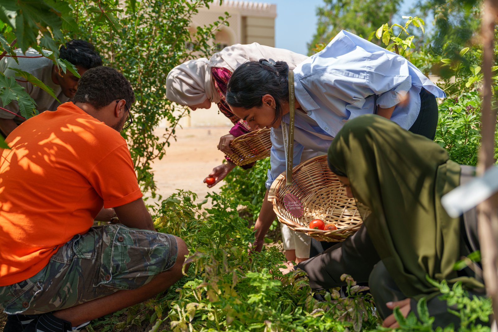 Harvesting and Cooking Session with DAAR and SAT Staff