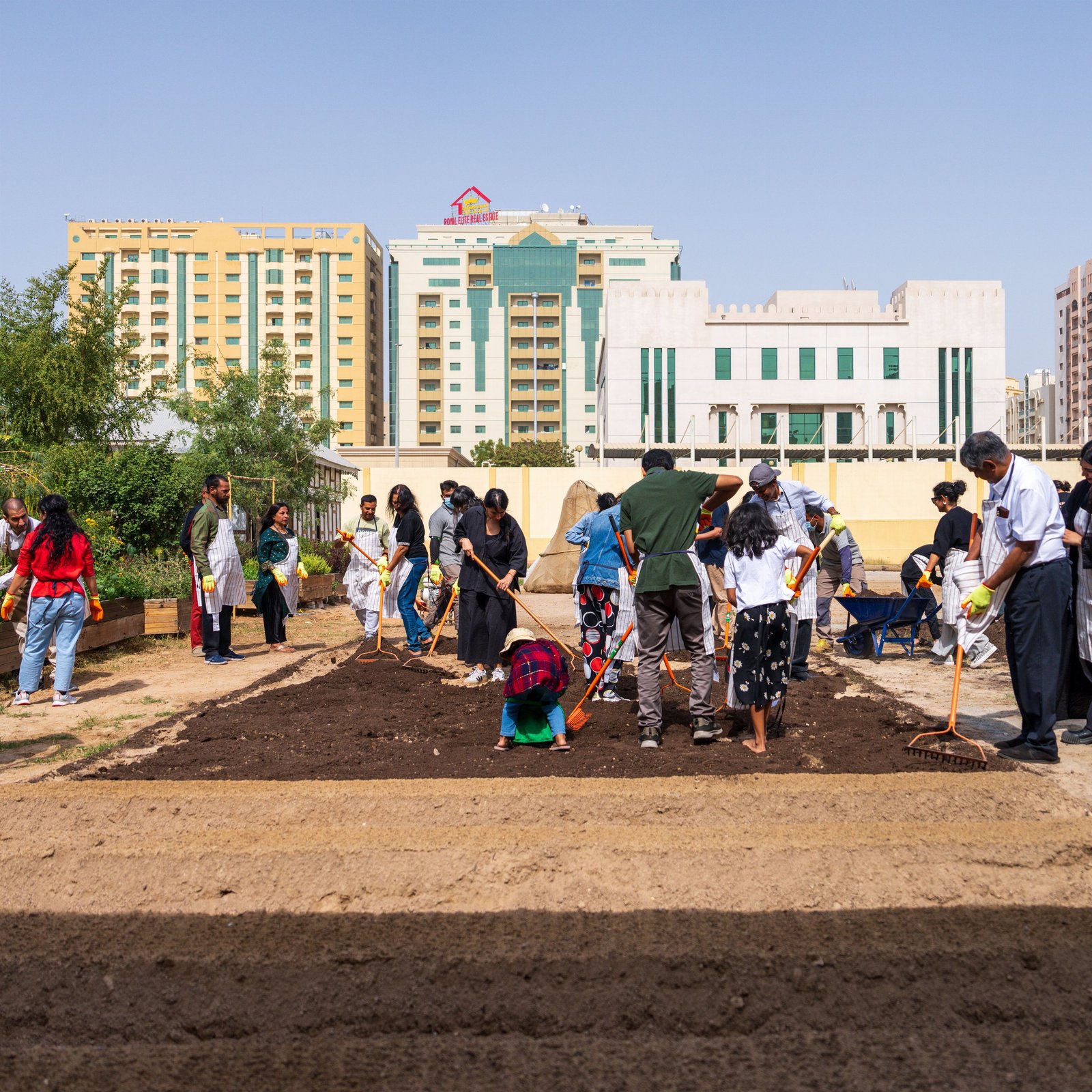 Hands in the Soil — Workshop Series 1