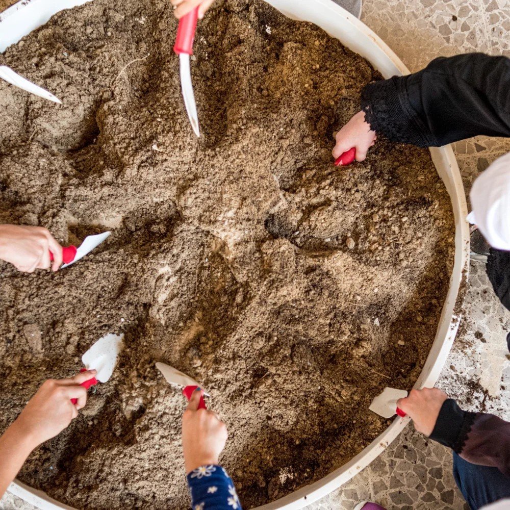 Knowledge Exchange: Seed Germination