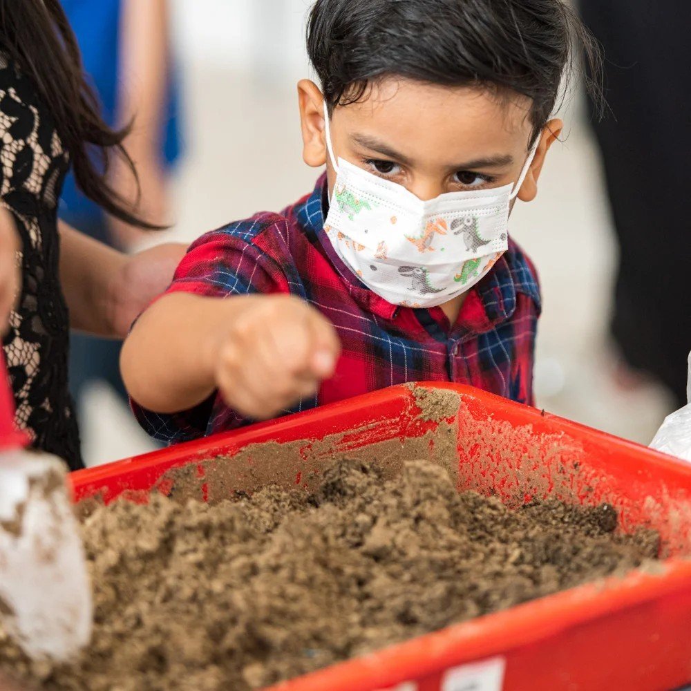 Knowledge Exchange: Seed Germination