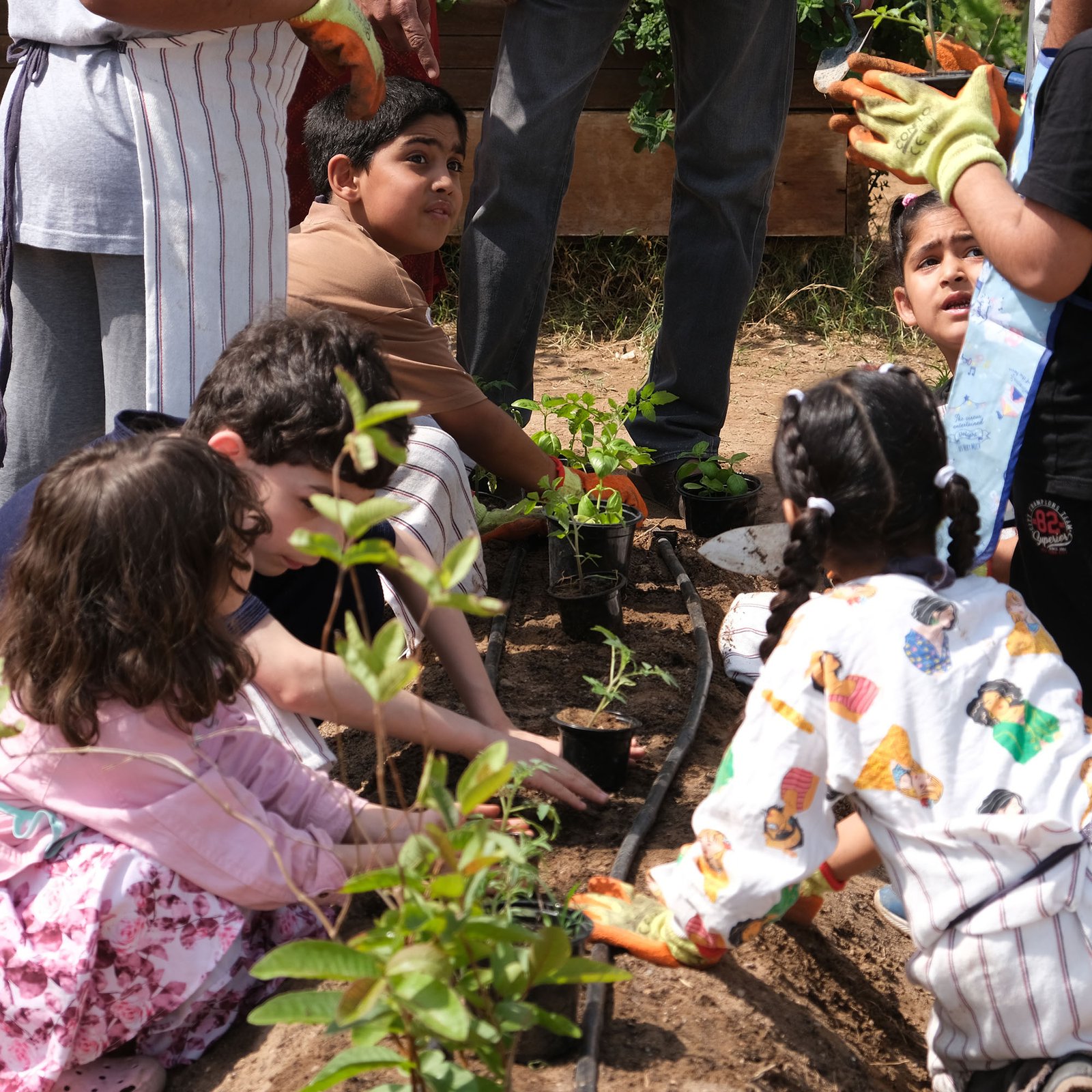 Hands in the Soil — Workshop Series 1