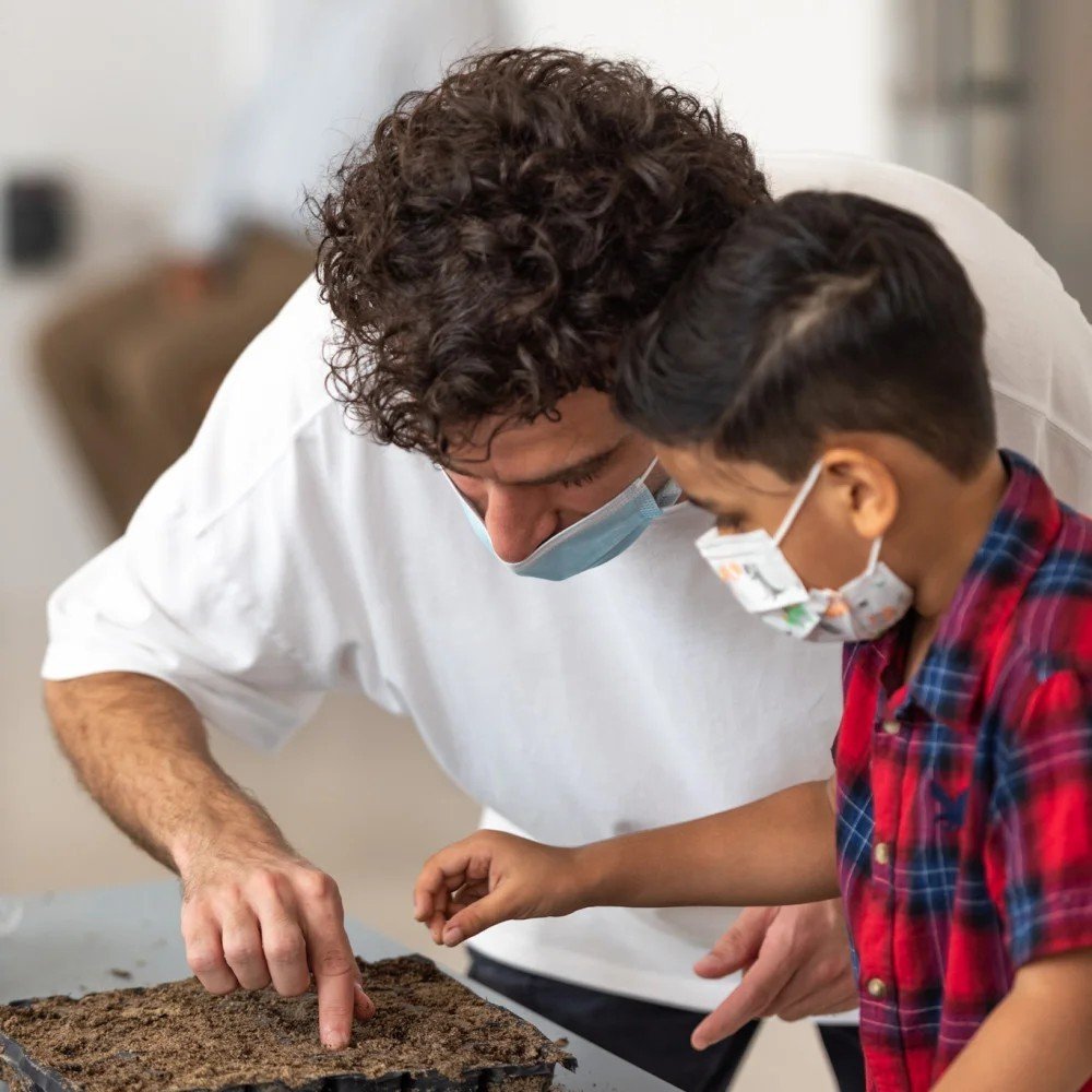 Knowledge Exchange: Seed Germination