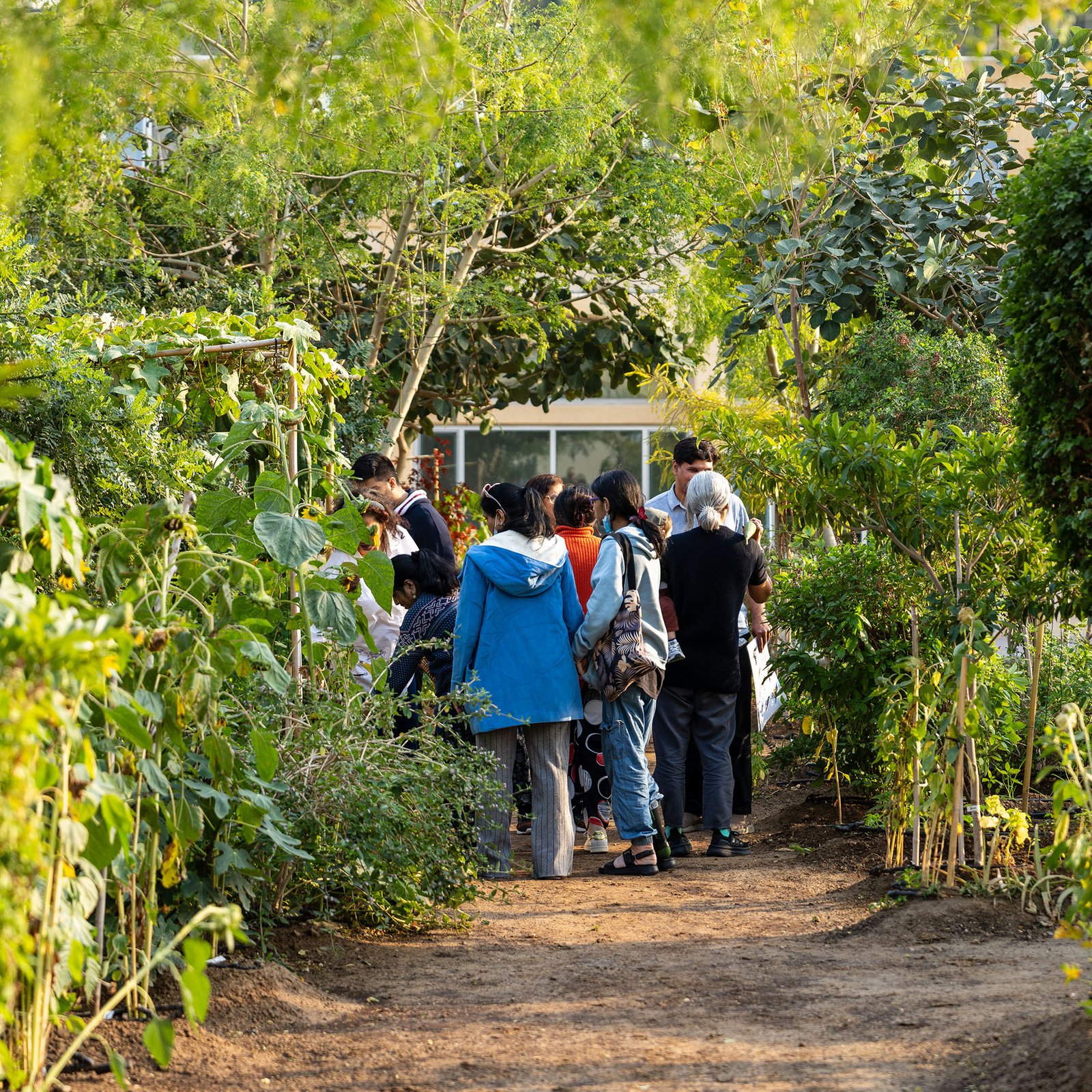 Cultivating Community