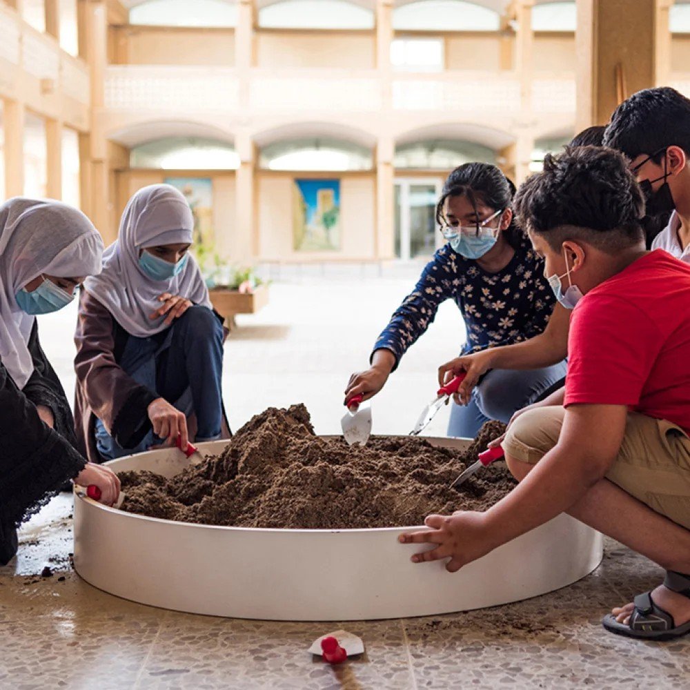 Knowledge Exchange: Seed Germination